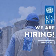 PNUD recrute deux consultants nationaux à Dakar