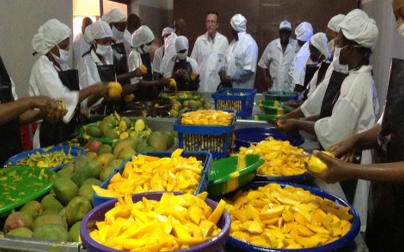 Recrutement Chef de Projet Agro-industriel Sénégal - Sodiluxe - Offres d'emploi