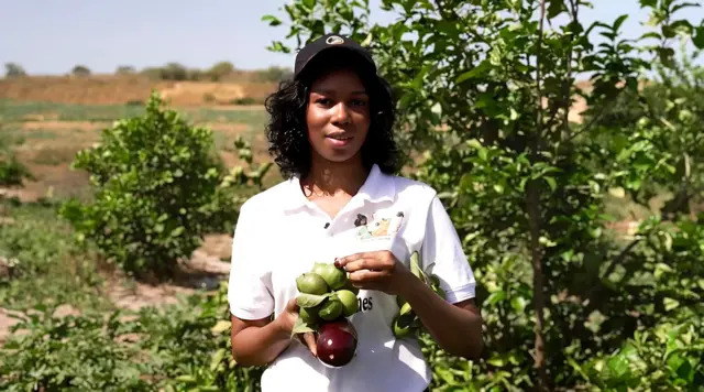 Responsable agricole – Fruits & légumes Sénégal - Offres d'emploi