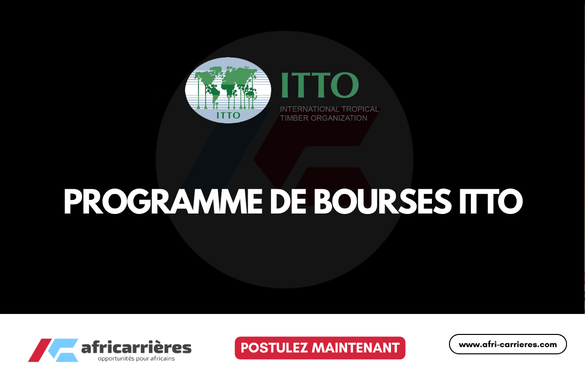 Comment postuler à la bourse ITTO 2026 de 10 000$ ?
