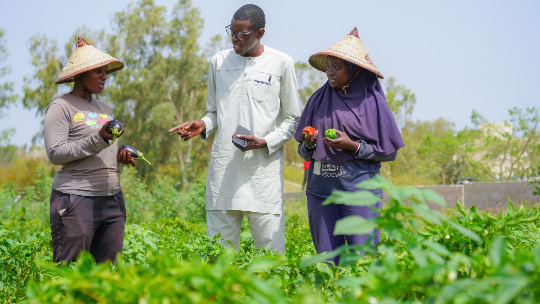 Titre SEO : Recrutement FAO Sénégal : Spécialiste des Achats et Contrats - Offres d'emploi
