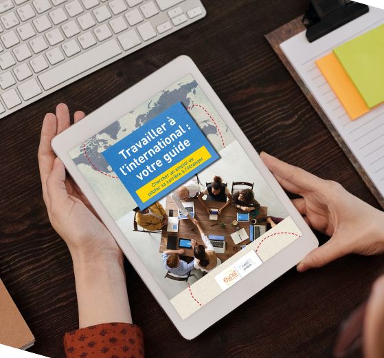 Conseils carrière : réussir dans un monde globalisé - Conseils carrière