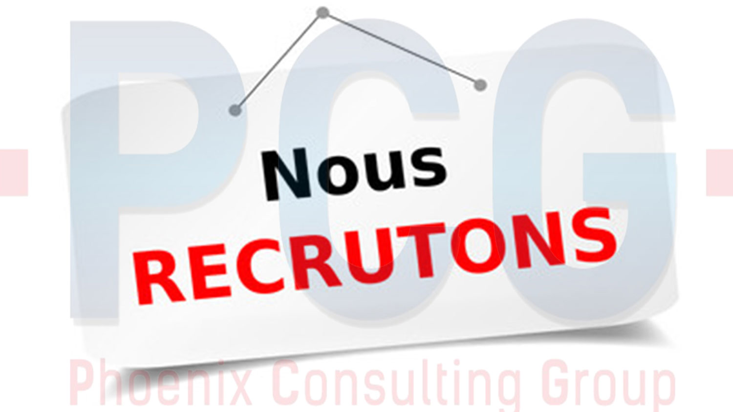 Phoenix Consulting recrute un Responsable Technico-Commercial AF - Offres d'emploi