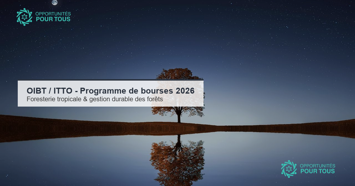 Bourse ITTO 2026 jusqu'à 10 000 USD pour Sénégalais - Bourses d'études