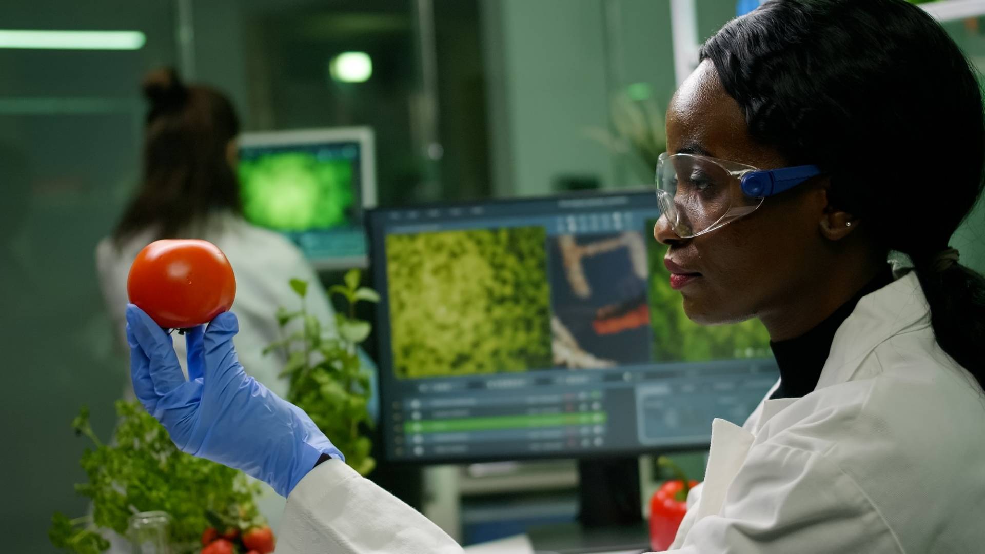 Responsable R&D agroalimentaire – Sénégal - Offres d'emploi