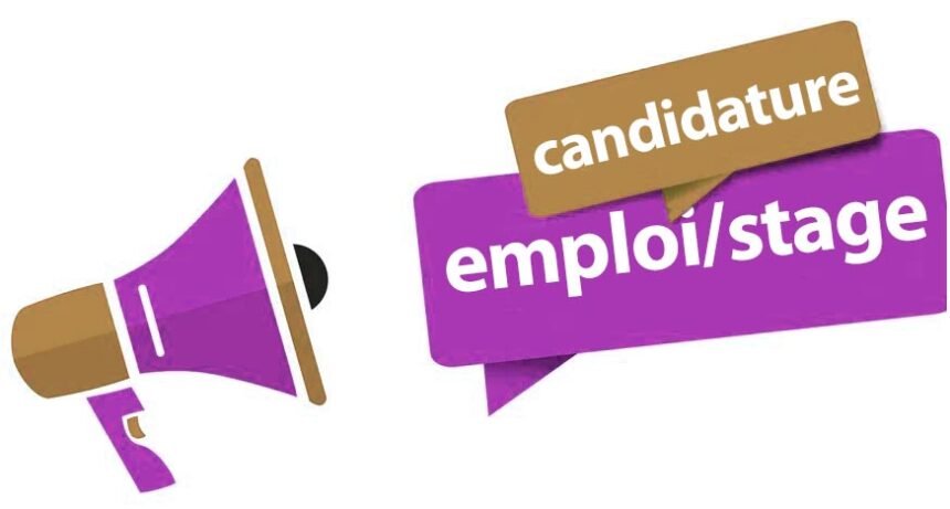 RMO Sénégal recrute un Responsable SI à Dakar 2026