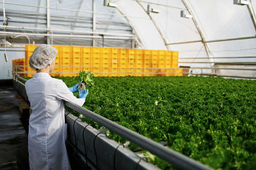 CSS recrute Technicien agricole engrais Sénégal - Offres d'emploi