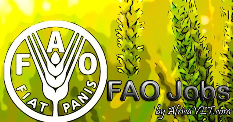 FAO recrute un Coordinateur de Projet à Dakar 2026