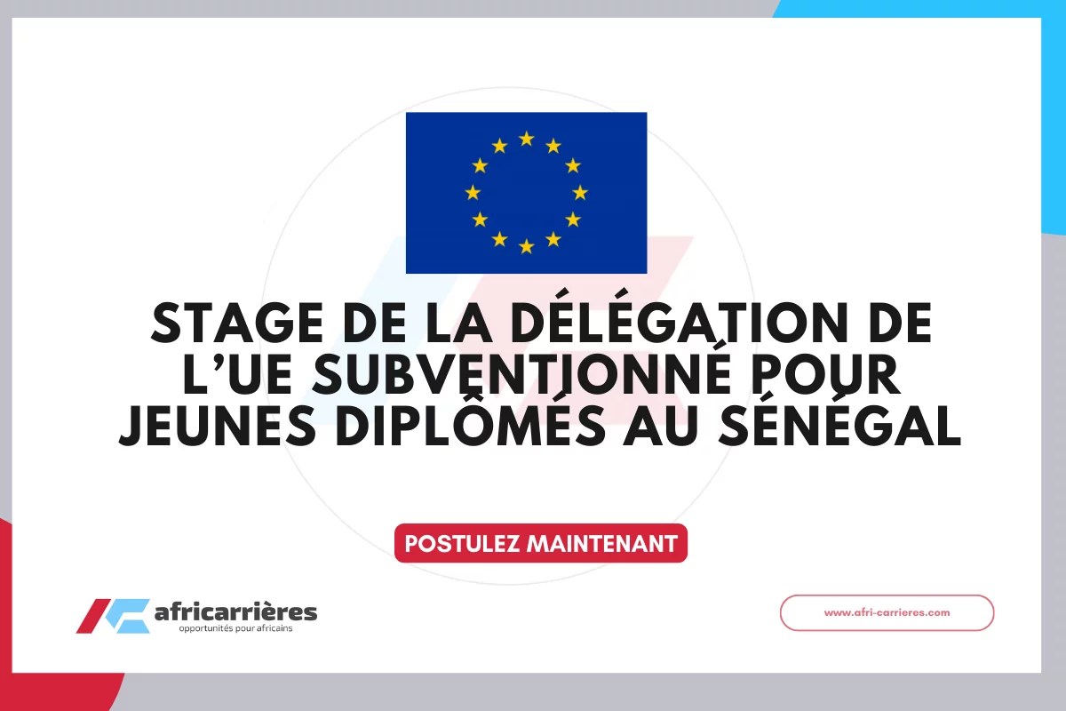 Stages en entreprise au Sénégal : Guide complet pour trouver un stage - Opportunités professionnelles