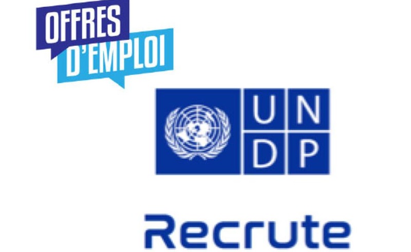 PNUD recrute 1000 volontaires en ligne 2025 - Offres d'emploi